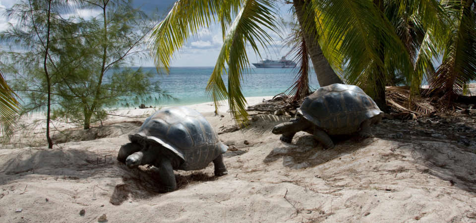 Aldabra Atoll