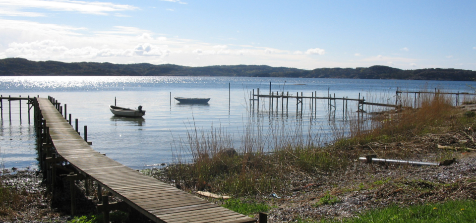 Gullmarsfjorden (Cruising)
