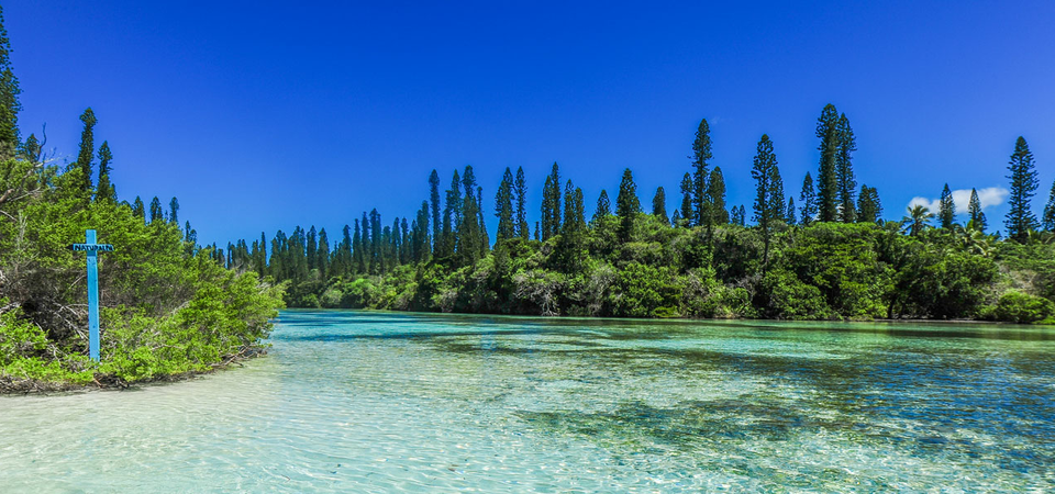 Isle of Pines