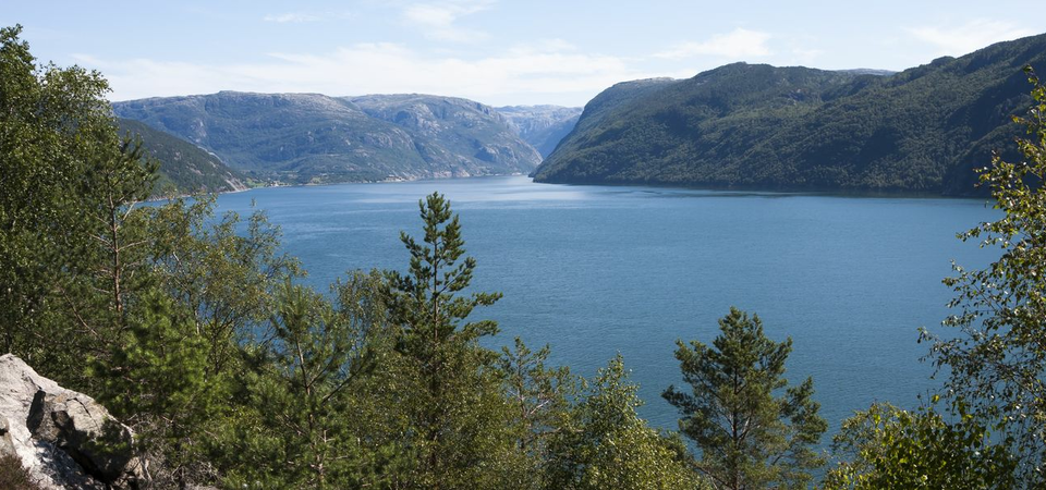 Jøsenfjorden (Cruising)