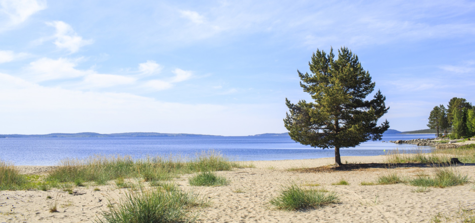 Örnsköldsvik