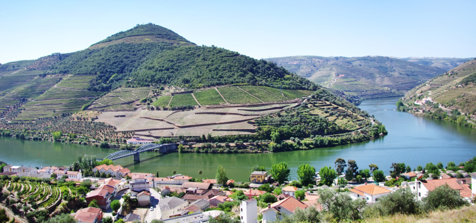 Pinhão