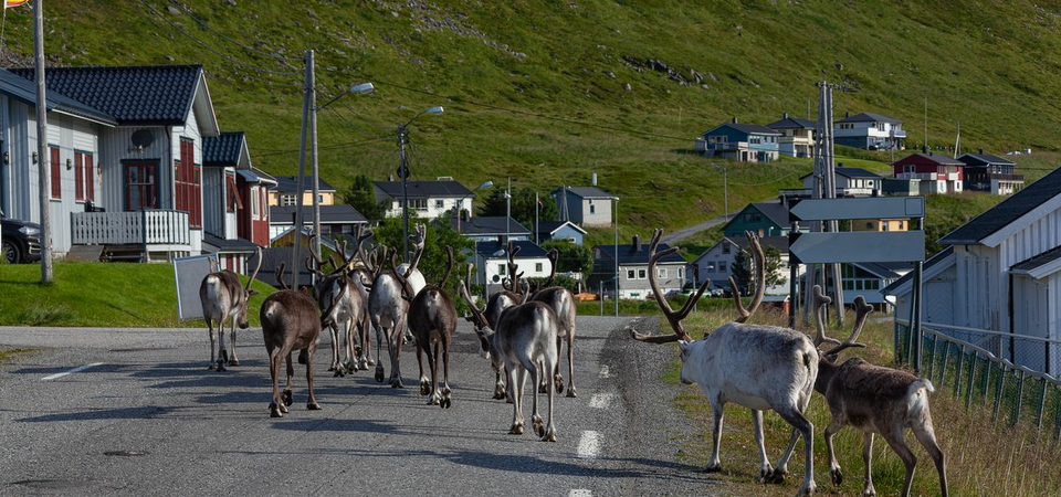 Skarsvag