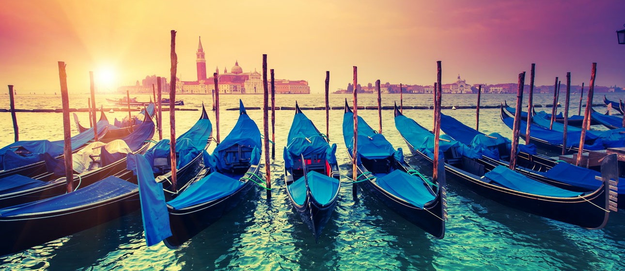 Cruise Circle Collection