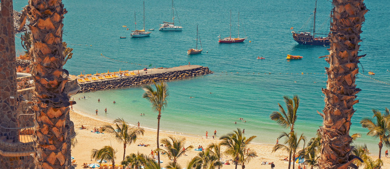 Cruise Circle Collection