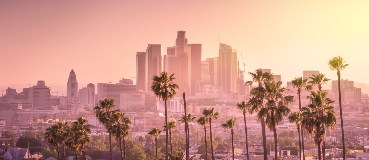 Cruise Circle Collection