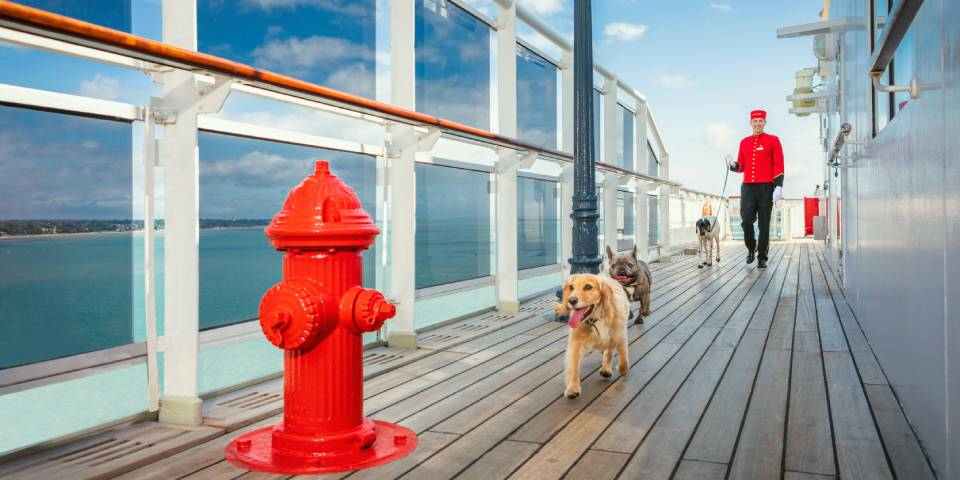 Kennels onboard